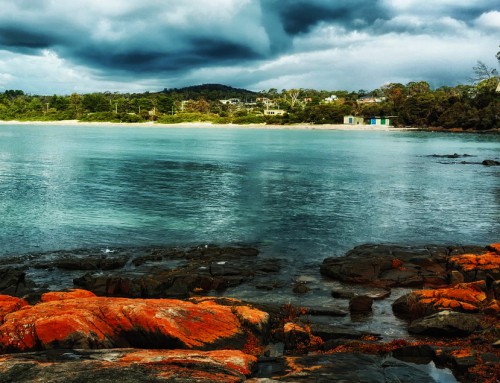 TASMANIA: UN DESTINO PARA ESTUDIAR EN AUSTRALIA QUE VALE LA PENA CONTEMPLAR!!