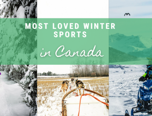 Most Loved Winter Sports in Canada